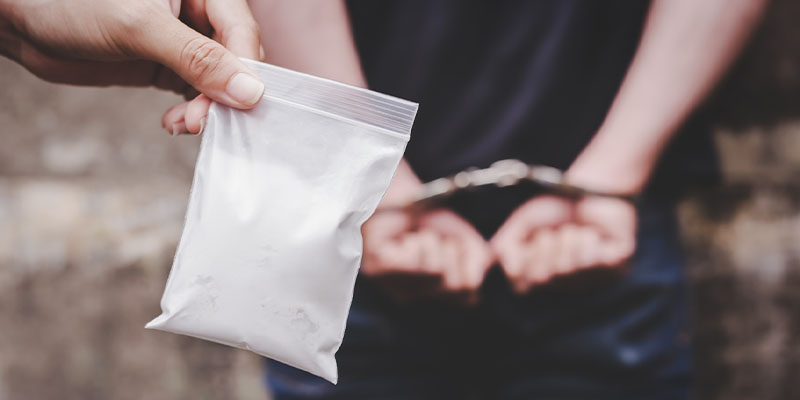 Drug Bust